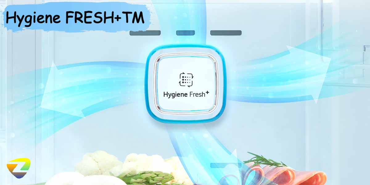 فیلتر بهداشتی Hygiene Fresh+™